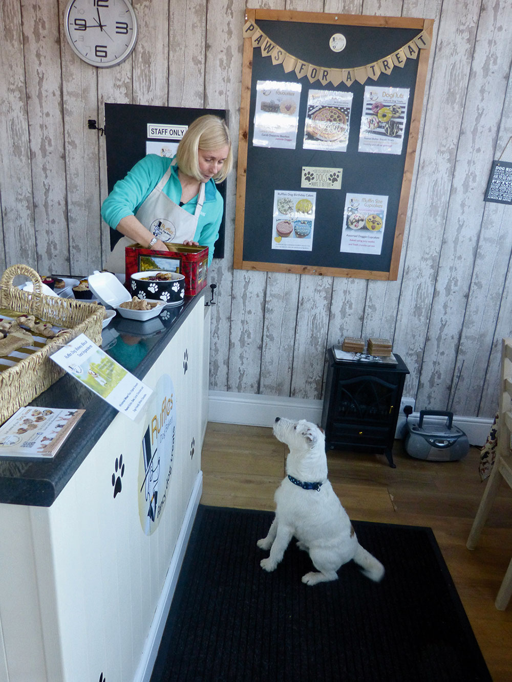 Taste Derbyshire – Canine Delights