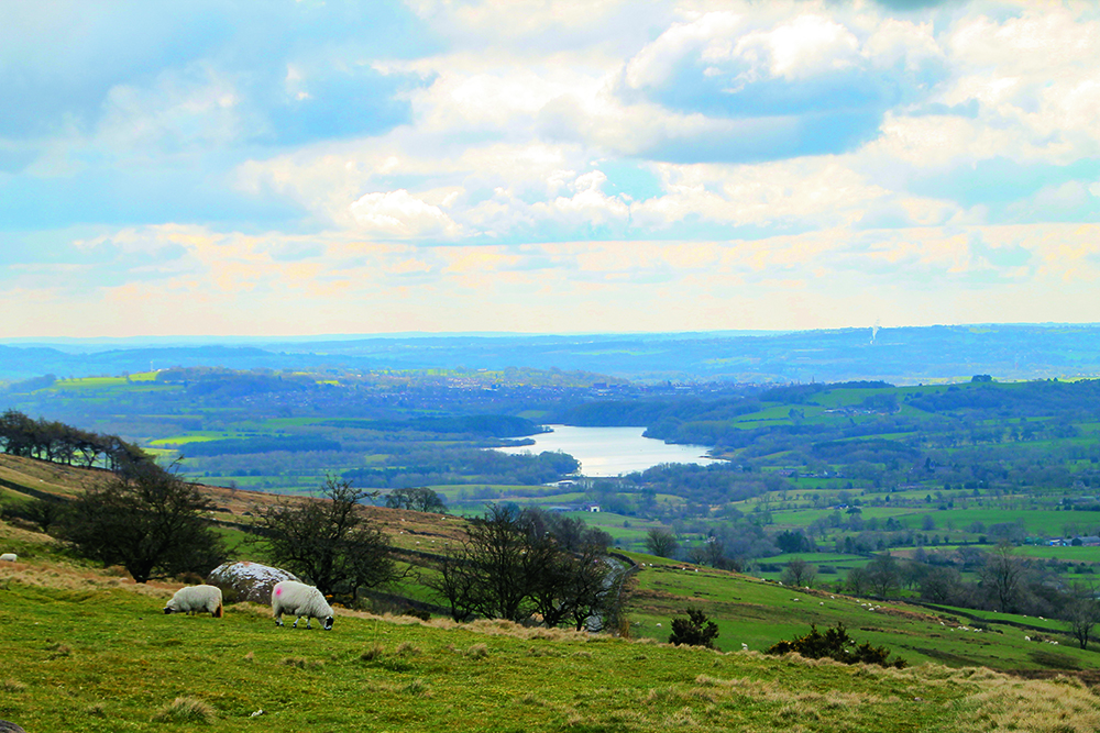 Walk Derbyshire – The Roaches