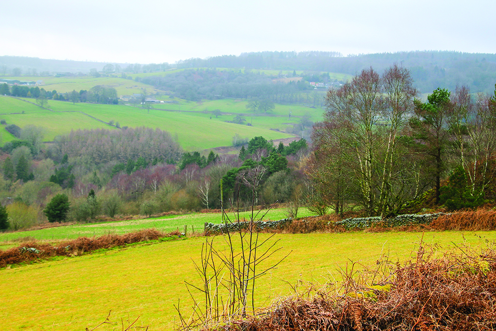 Walk Derbyshire – A Walk Above Matlock