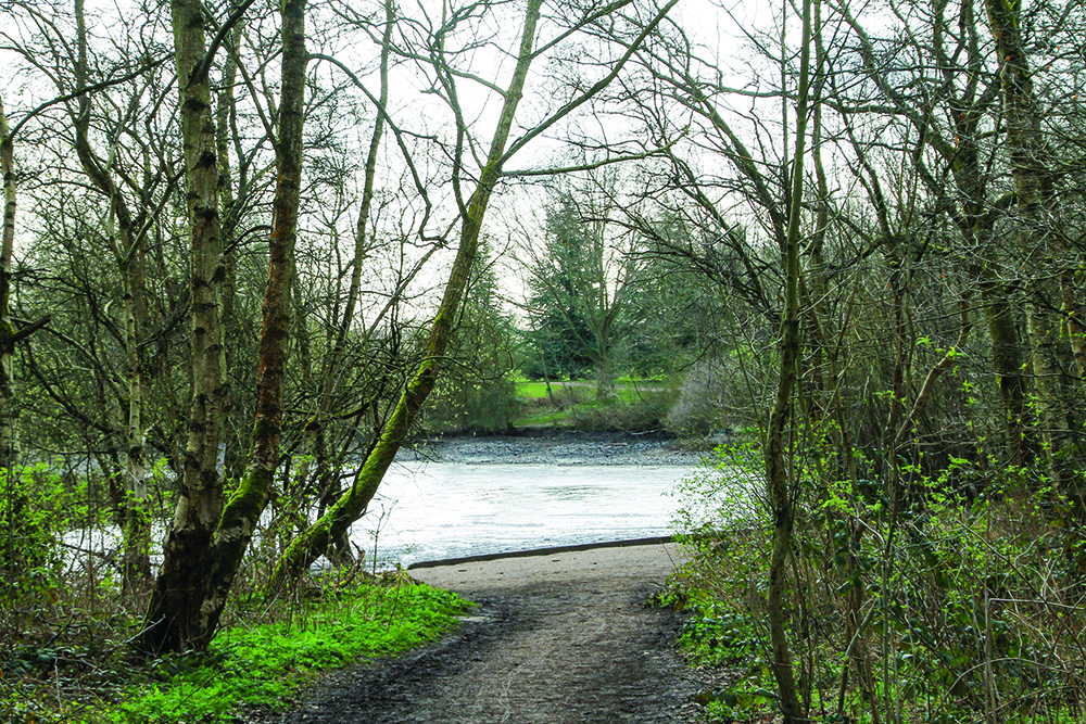 Walk Derbyshire – Exploring Shipley Country Park