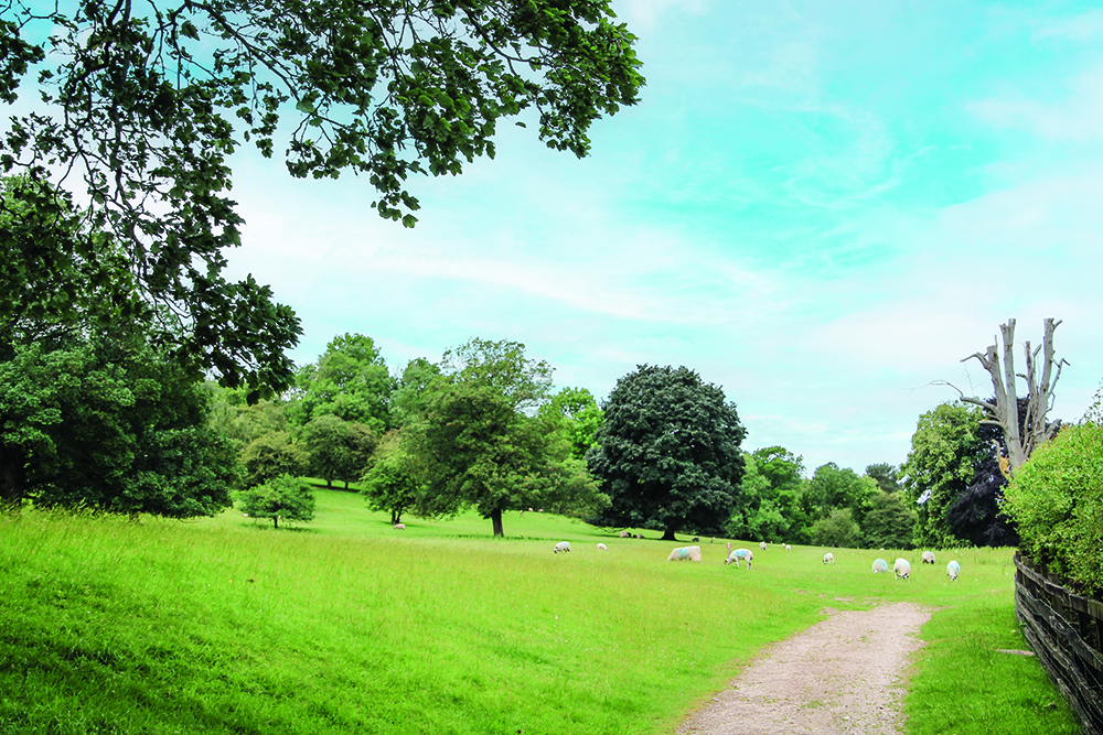 Walk Derbyshire – Along Lover’s Walk – Ilam