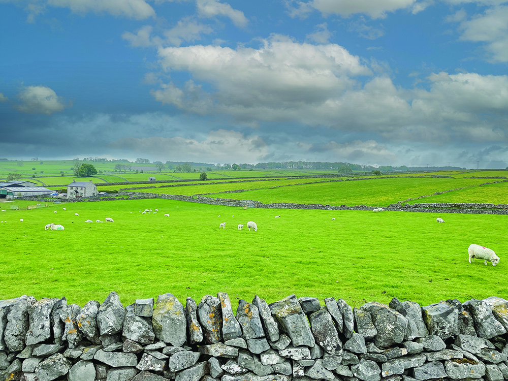 Walk Derbyshire – A Walk Between Monyash & Flagg