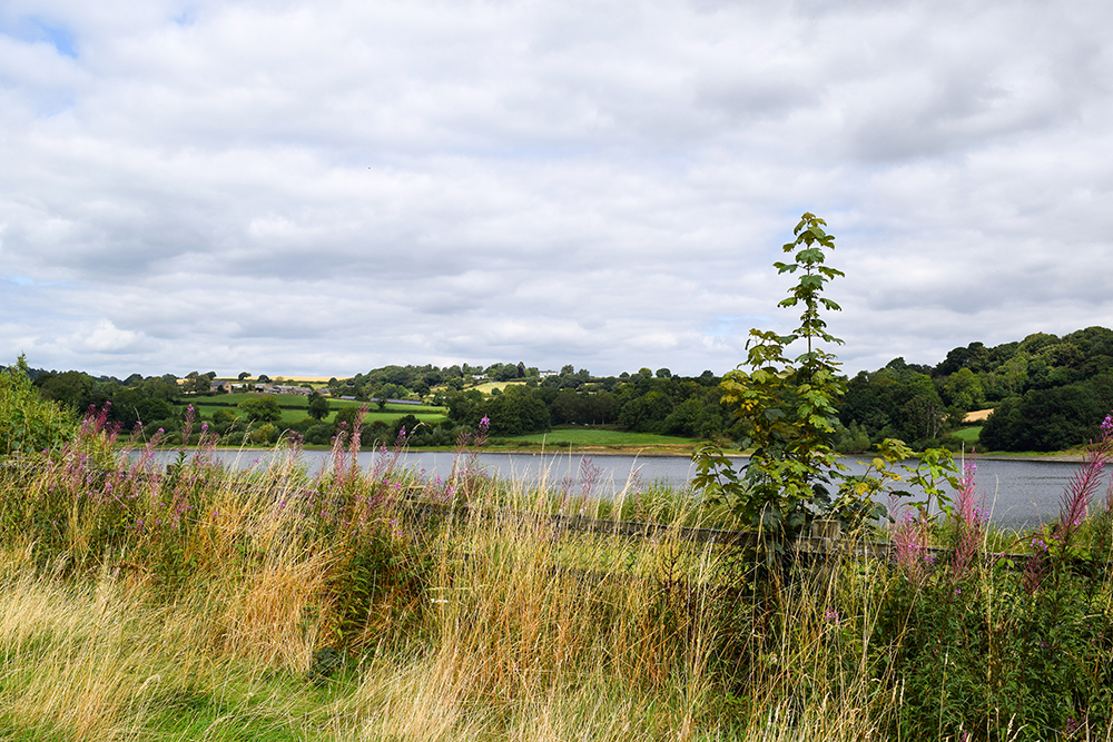 Walk Derbyshire – A Wander With An Ogston View