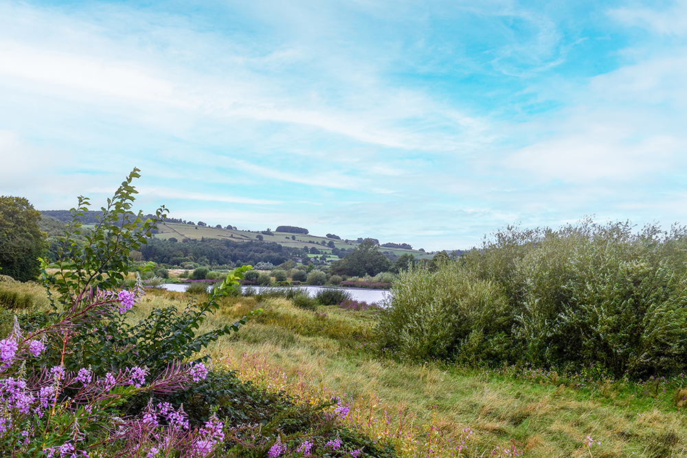 Walk Derbyshire