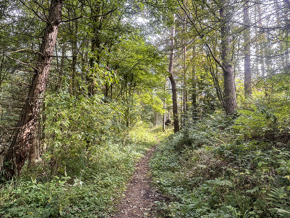 Walk Derbyshire – A Pleasant Walk from Pilsley to Hassop